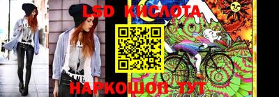 стафф Дубна