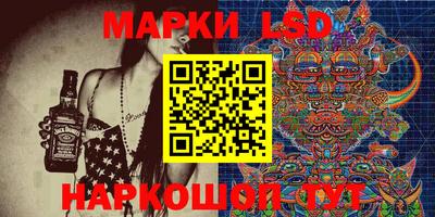 стафф Дубна