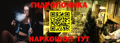 стафф Дубна